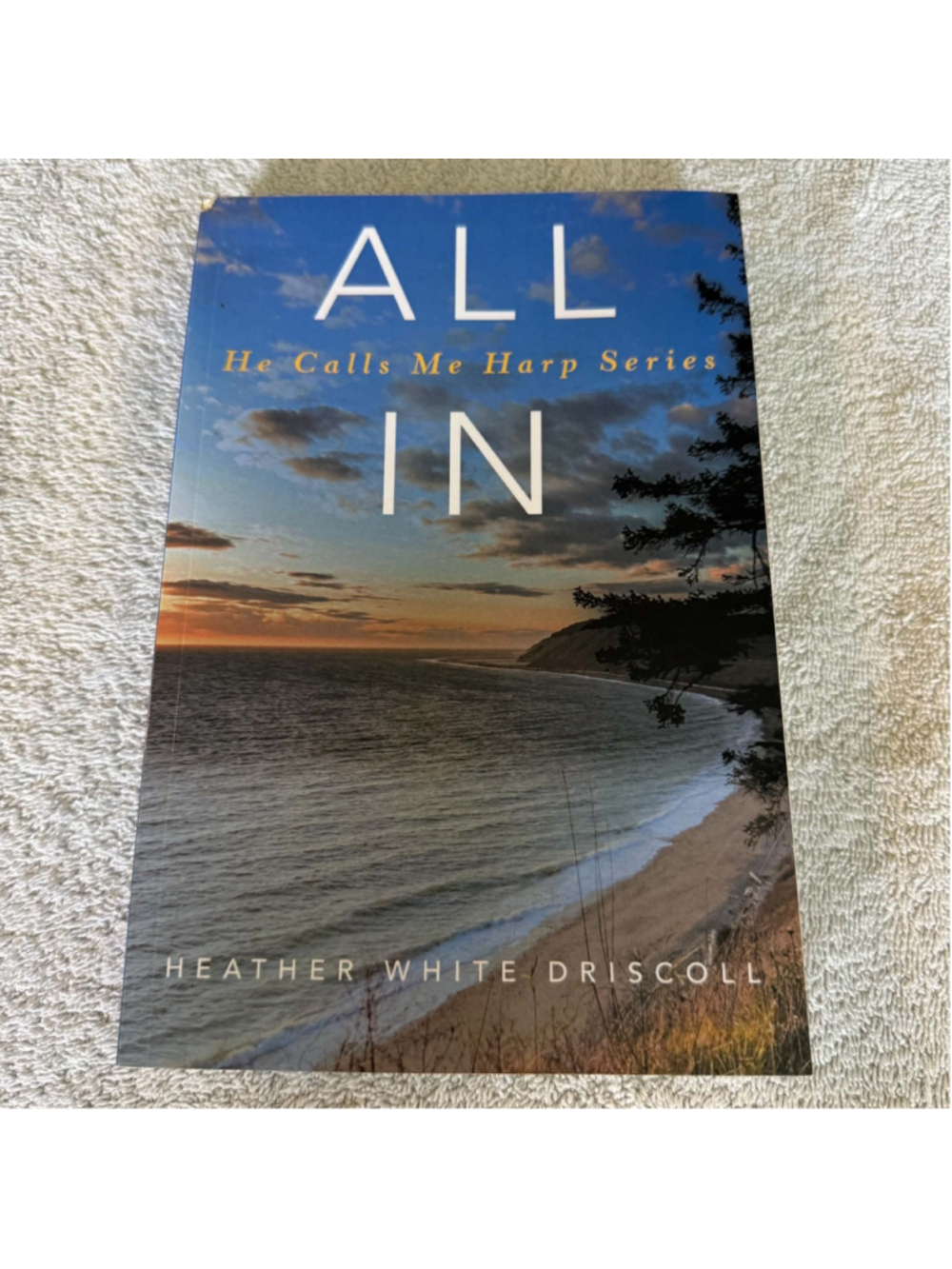 All In by Heather White Driscoll Signed Coffee Table Book